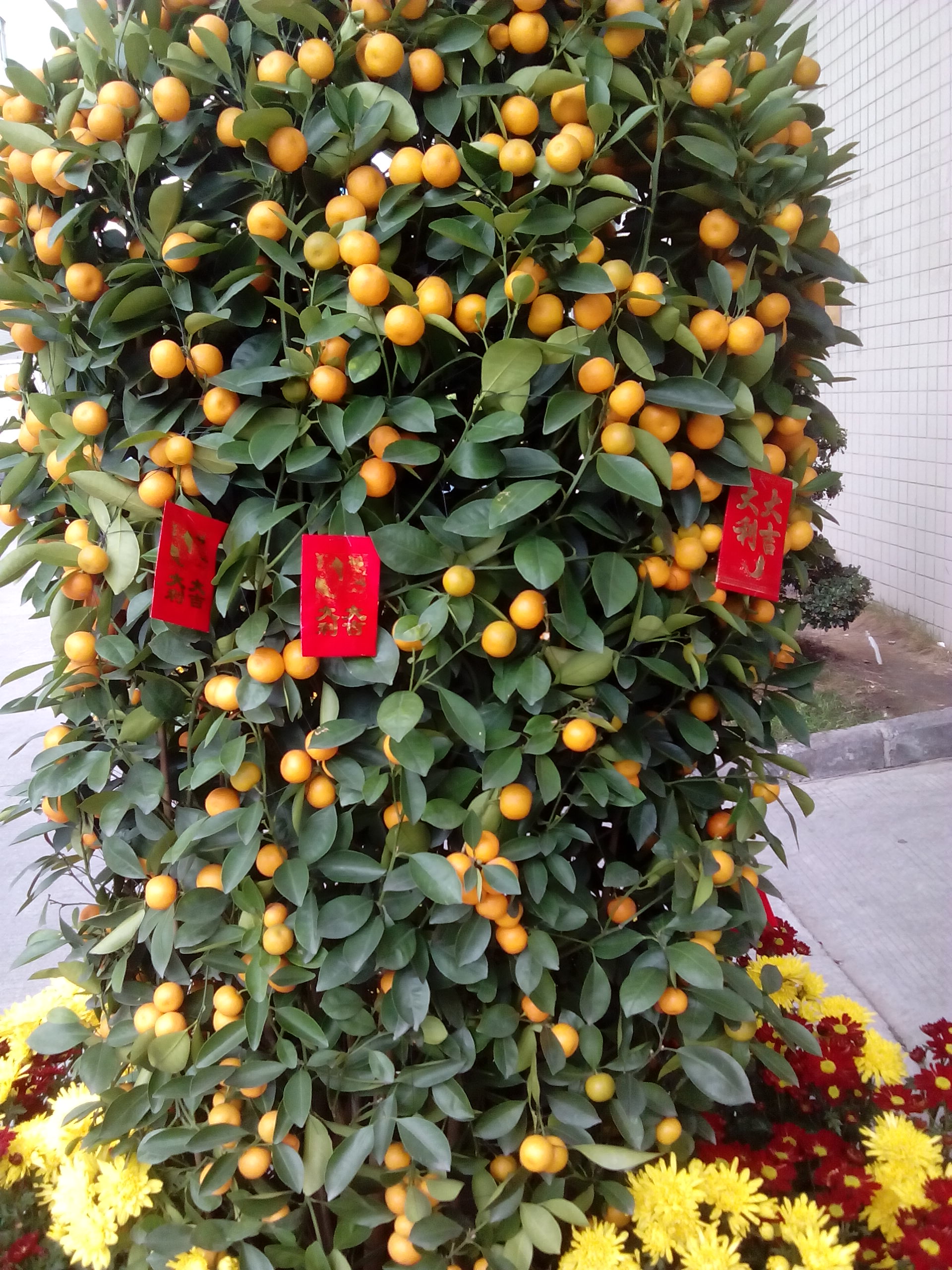 兴业卓辉